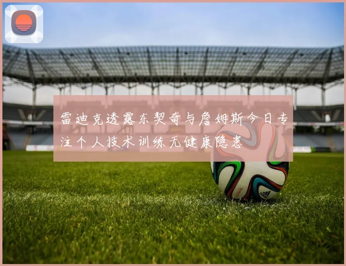 雷迪克透露东契奇与詹姆斯今日专注个人技术训练无健康隐患