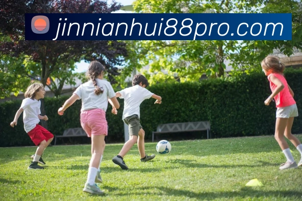 金年会APP 封面图